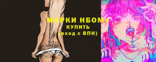 хмурый Алексин