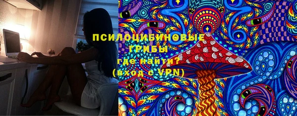 СК Аркадак