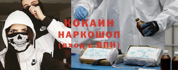 меф Арсеньев