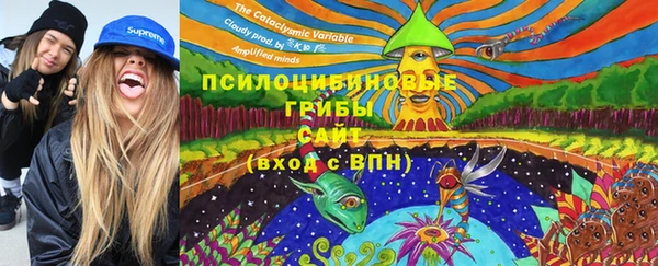 прущая мука Рославль