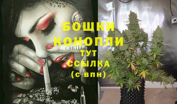 СК Аркадак